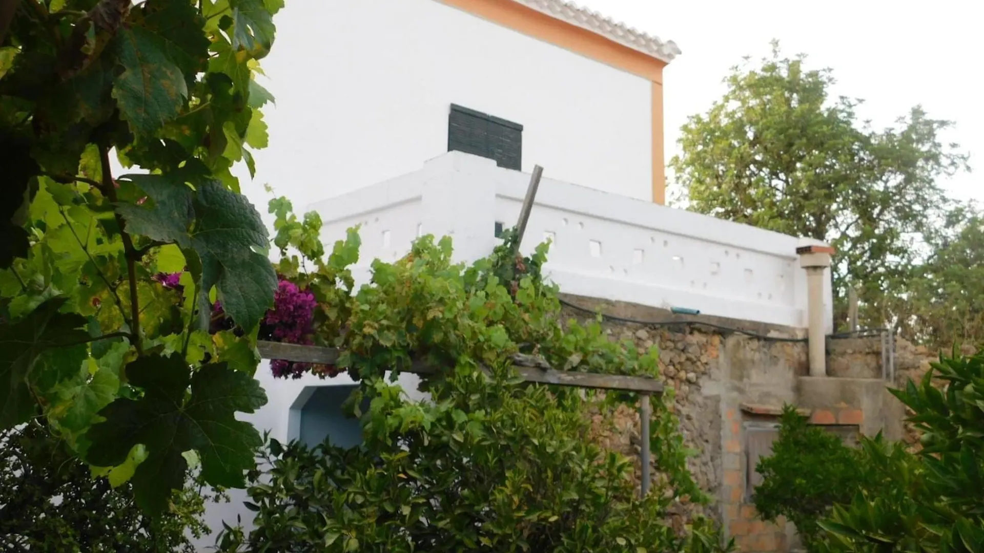 Alloggio per agriturismo Villa El Encanto, Ideal For Families And Groups Sant Miquel de Balansat Spagna