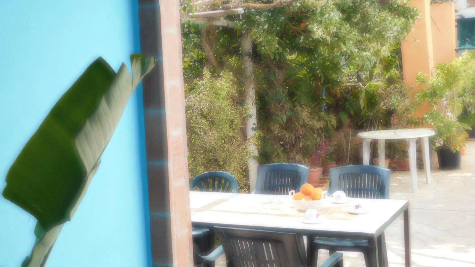 Villa El Encanto, Ideal For Families And Groups 圣米克尔德巴兰 农家乐